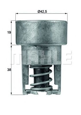 termostat,lichid racire