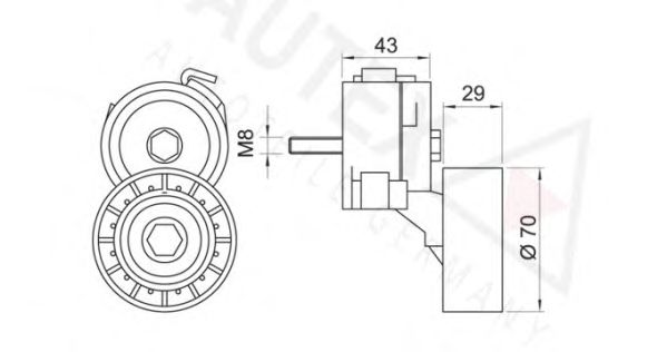 intinzator,curea transmisie