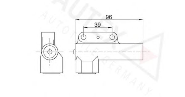 Amortizor vibratii, curea distributie