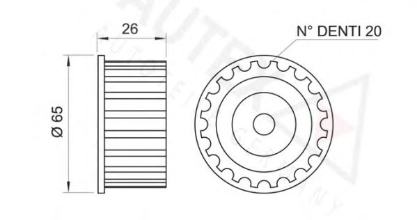 rola intinzator,curea distributie