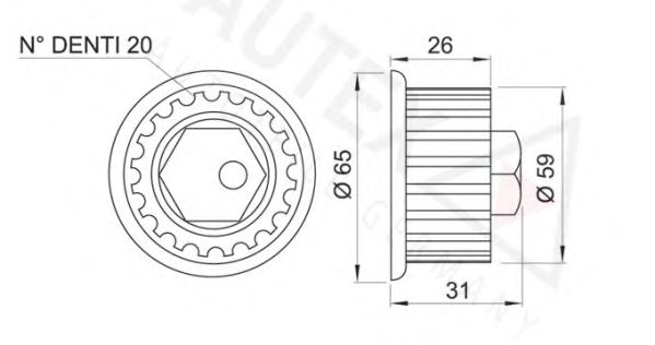 rola intinzator,curea distributie