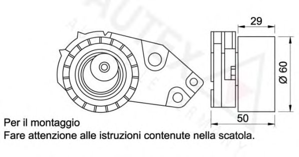 rola intinzator,curea distributie