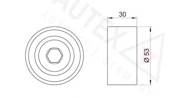 rola intinzator,curea distributie