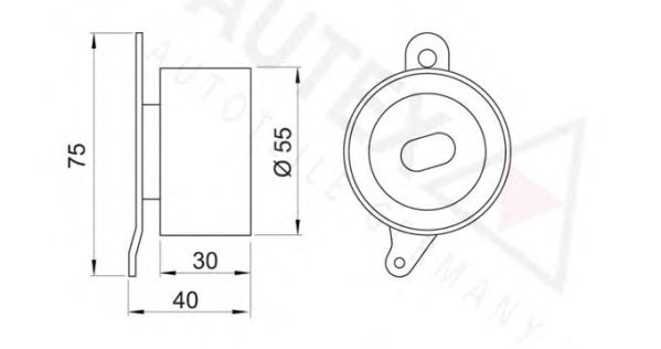 rola intinzator,curea distributie