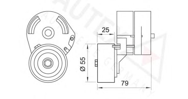 Intinzator curea, curea distributie