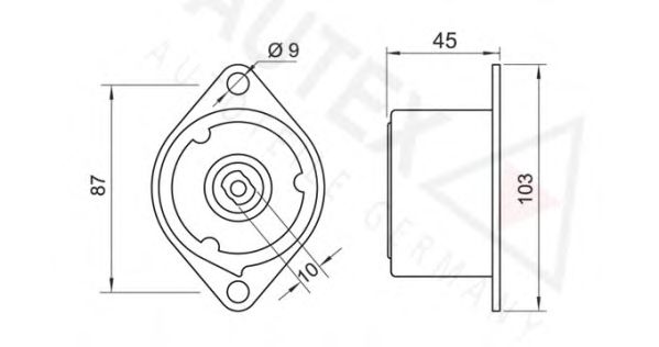 Intinzator curea, curea distributie