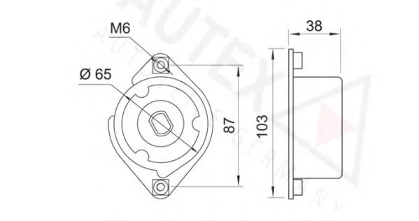 Intinzator curea, curea distributie