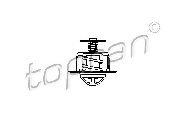 termostat,lichid racire