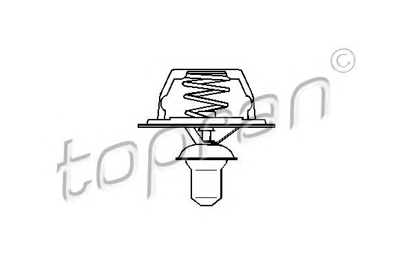 termostat,lichid racire