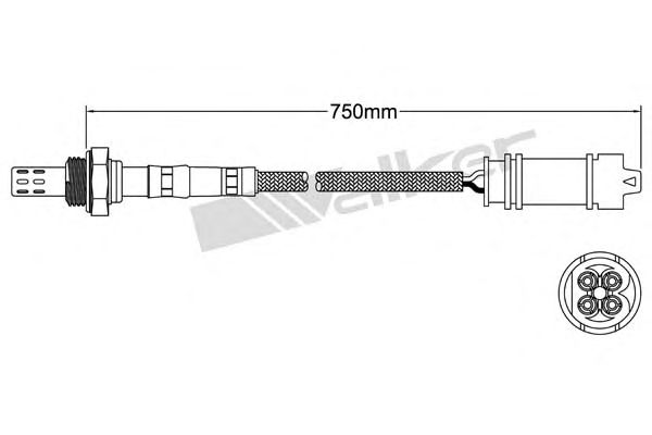 Sonda Lambda