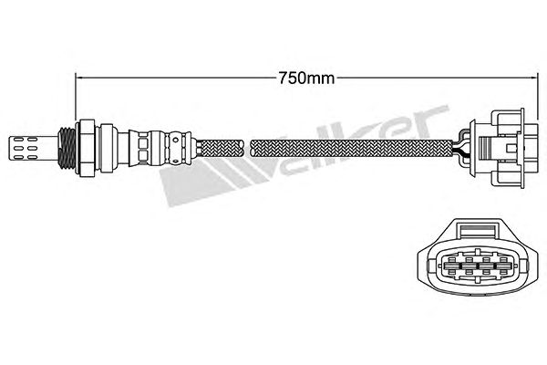 Sonda Lambda