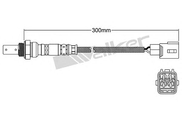 Sonda Lambda