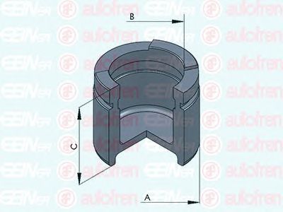 Piston, etrier frana