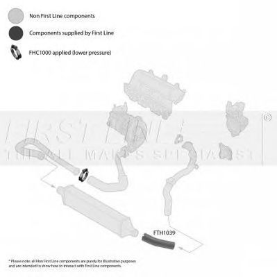 Furtun ear supraalimentare