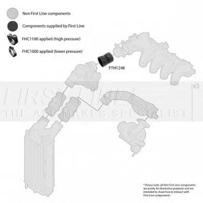 Furtun ear supraalimentare