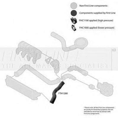 Furtun ear supraalimentare