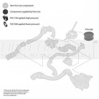 Furtun ear supraalimentare