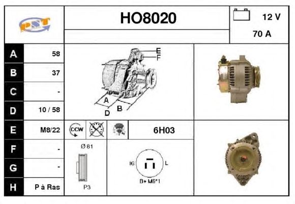 Generator / Alternator