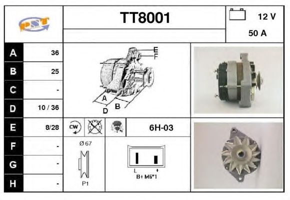 Generator / Alternator