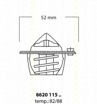 termostat,lichid racire