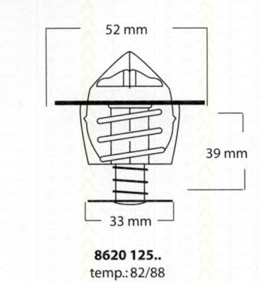 termostat,lichid racire