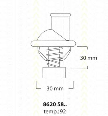 termostat,lichid racire