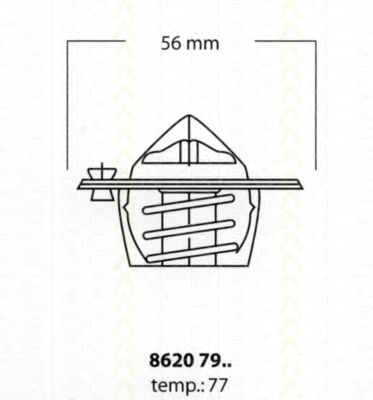 termostat,lichid racire