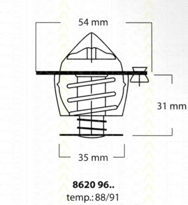 termostat,lichid racire