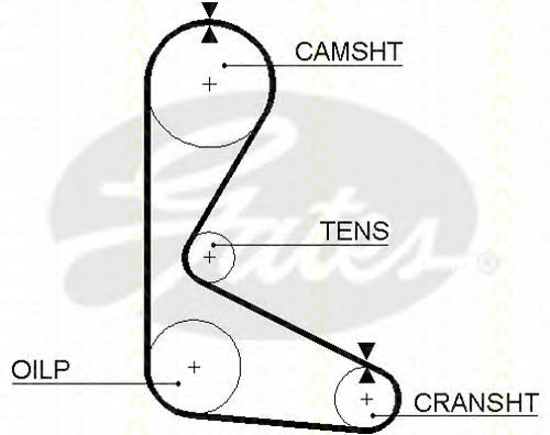 Curea de distributie