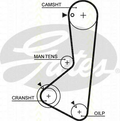 Set curea de distributie