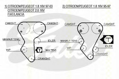 Set curea de distributie