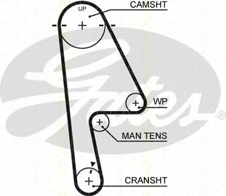 Set curea de distributie