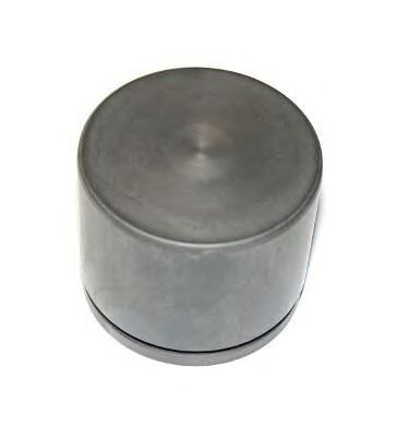 Piston, etrier frana