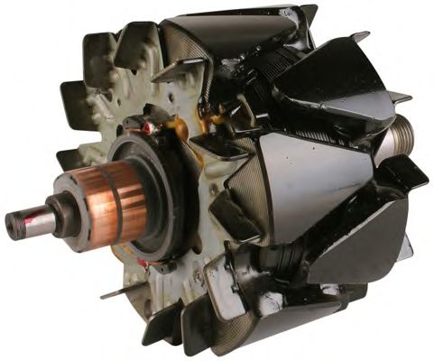 rotor,alternator