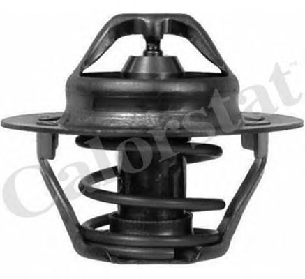 termostat,lichid racire RENAULT 89C CLIO/R19 1,7-2,0 F2N/F3N