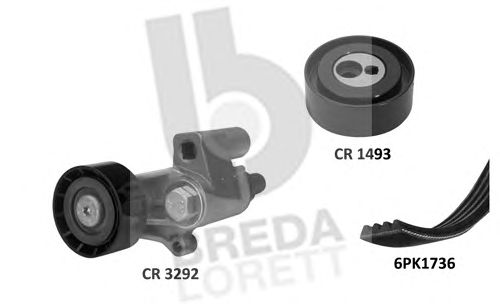 Set curea transmisie cu caneluri