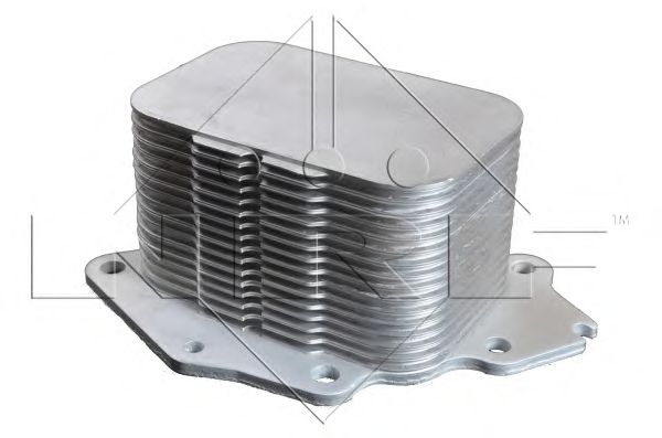 Radiator ulei, ulei motor MINI Clubman 1.4 03/09-02/10