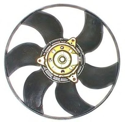 Ventilator, radiator RENAULT MEGANE II 03- KANGOO 08-