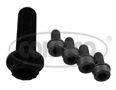 Set surub, disc curea-arbore cotit VW 1,9TDI