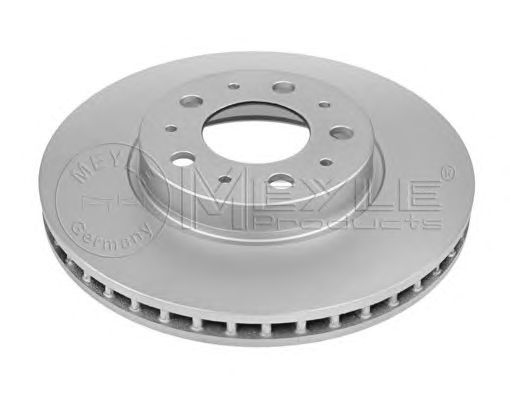 Disc frana BMW E36 3,0-3,2 92-03 315X28