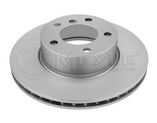 Disc frana BMW E90 05- 318-325 300X24