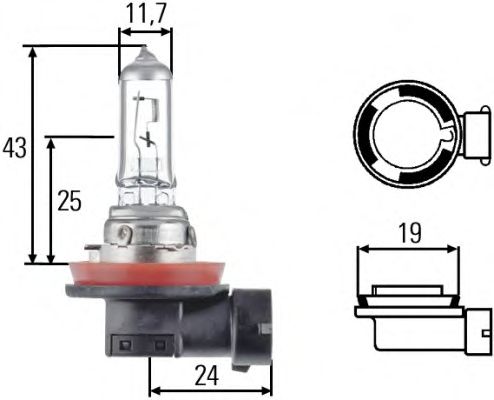 Bec HELLA H11 12V 55W PGJ19-2