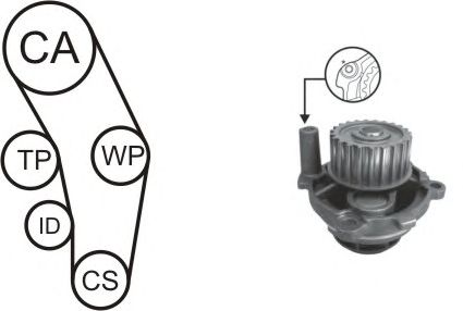 Set pompa apa + curea dintata