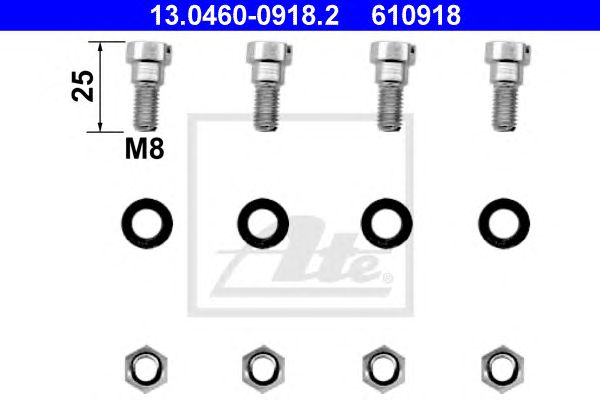 Set accesorii, placute frana