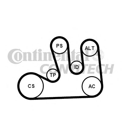 Set curea transmisie cu caneluri RENAULT 1,4-2,0