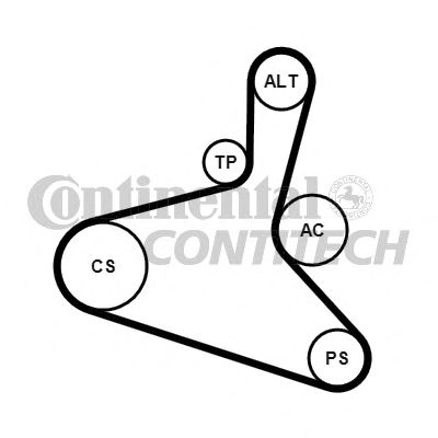 Set curea transmisie cu caneluri VW 1,6/1,8T AUDI/SEAT/SKODA