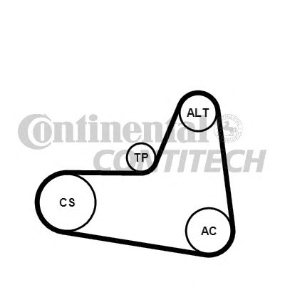 Set curea transmisie cu caneluri VW 1,6/2,0FSI