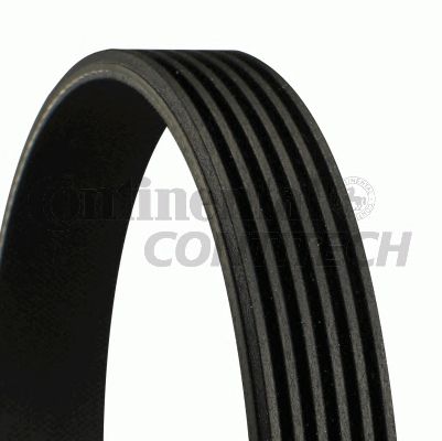 Curea transmisie cu caneluri ALFA ROMEO MITO/BMW 7/8/FIAT DOBLO/IDEA/PANDA