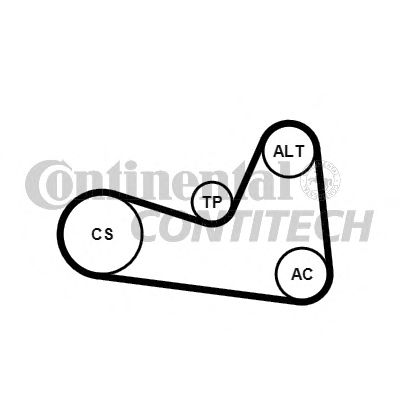 Set curea transmisie cu caneluri RENAULT 1,4/1,6