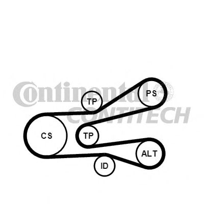 Set curea transmisie cu caneluri